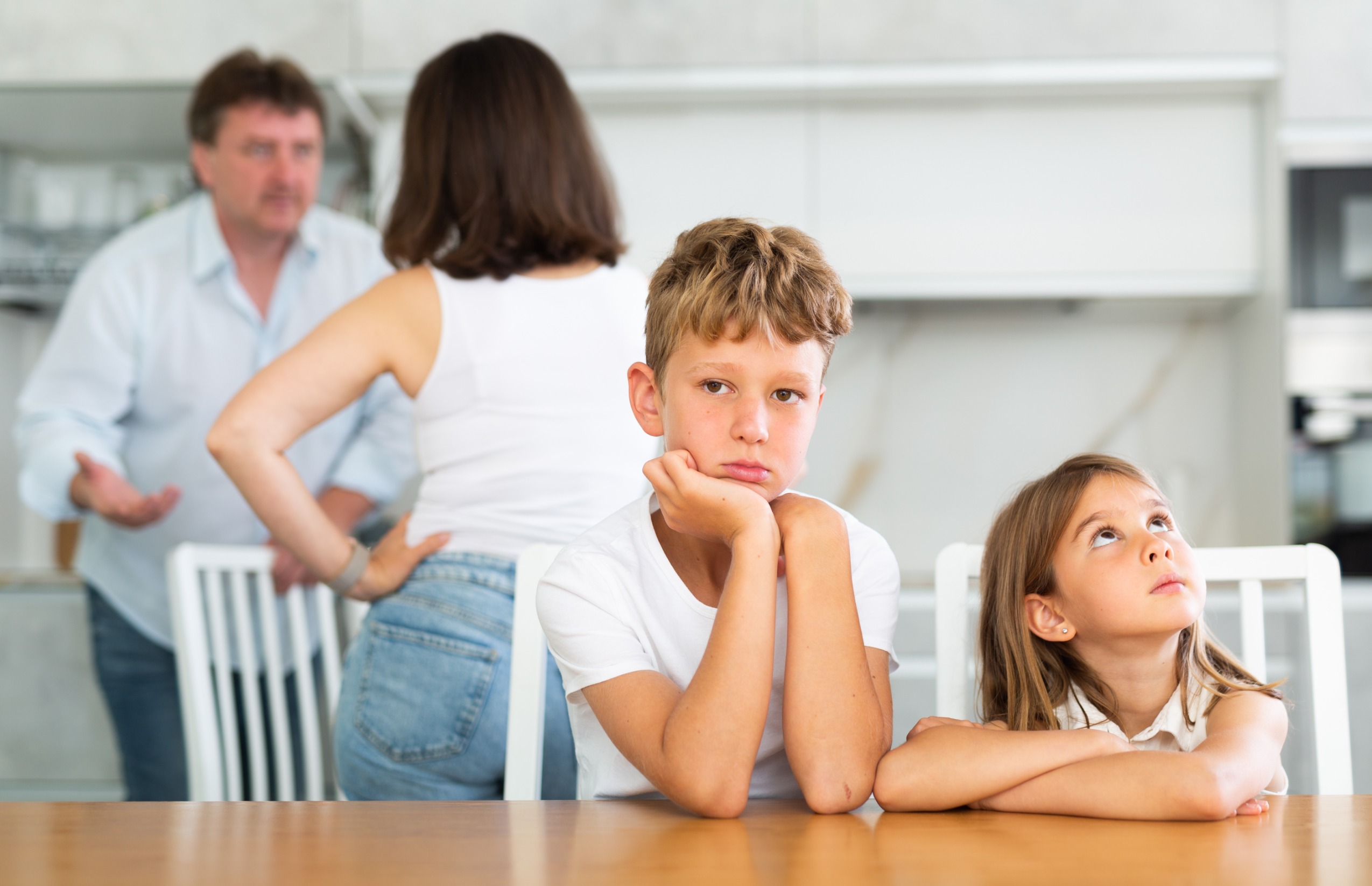 Parenting Plans in High-Conflict Divorces