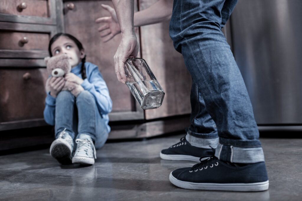 Domestic Violence Allegations